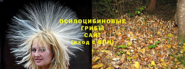 MDMA Дмитриев
