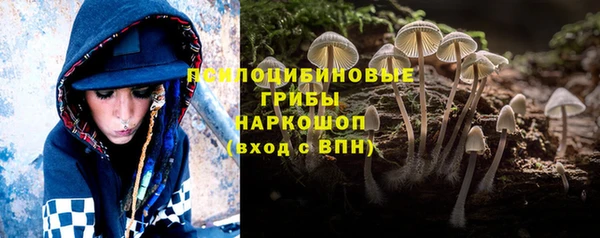 MDMA Дмитриев