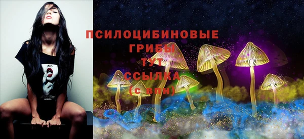 MDMA Дмитриев